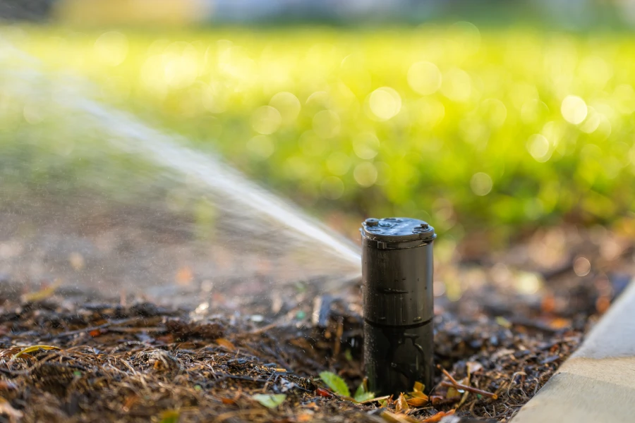 Riego Asistido de Jardinería